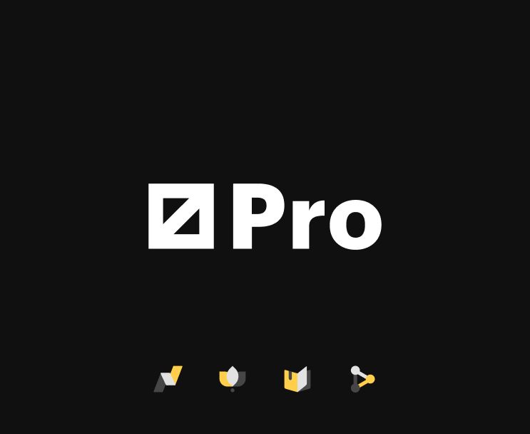 РБК Pro